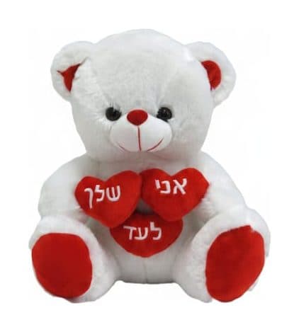 דובי לבן שלך לעד - תמונה 1